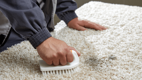 Professional Rug Cleaning Macleod